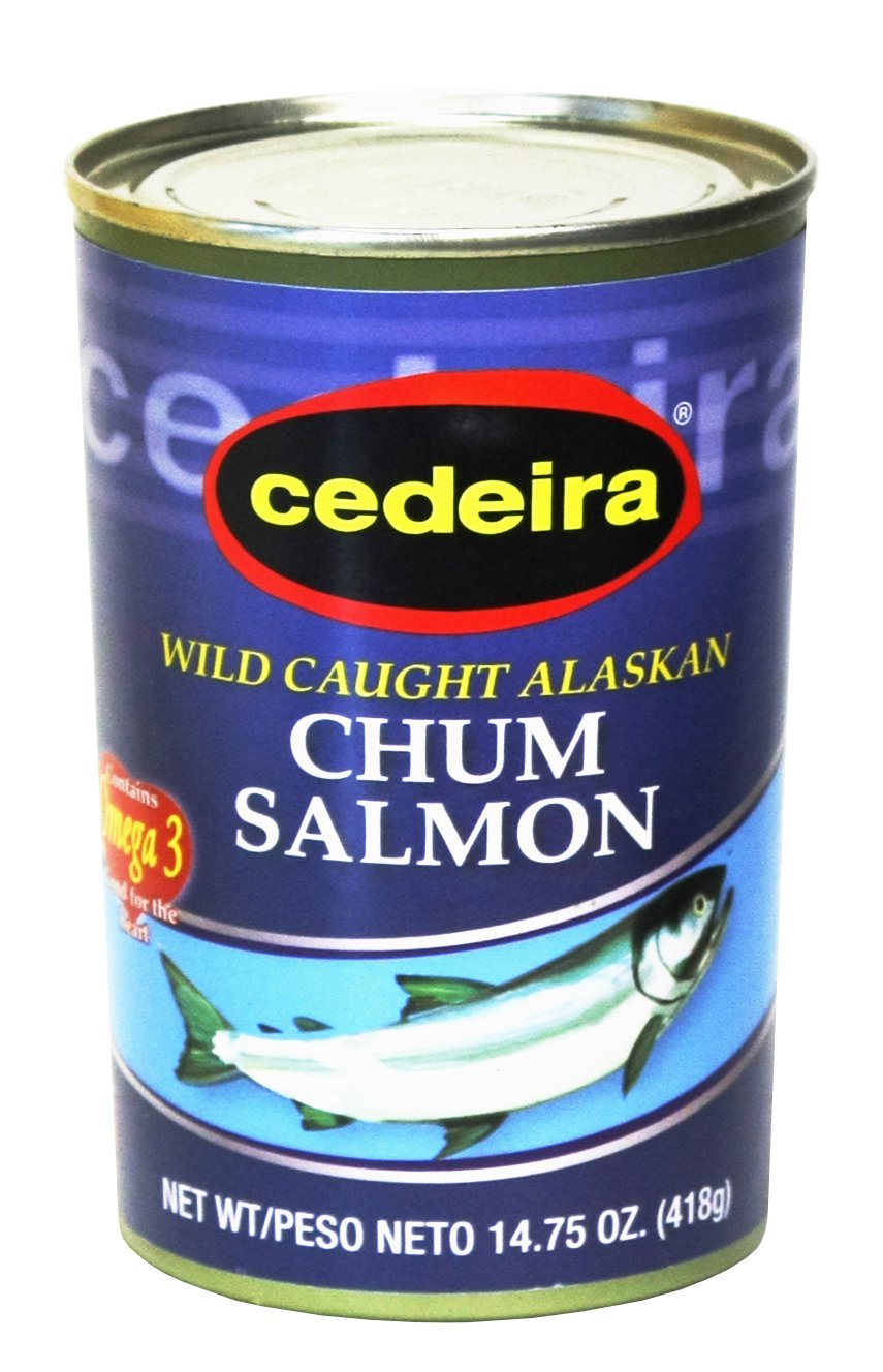 Chum Salmon